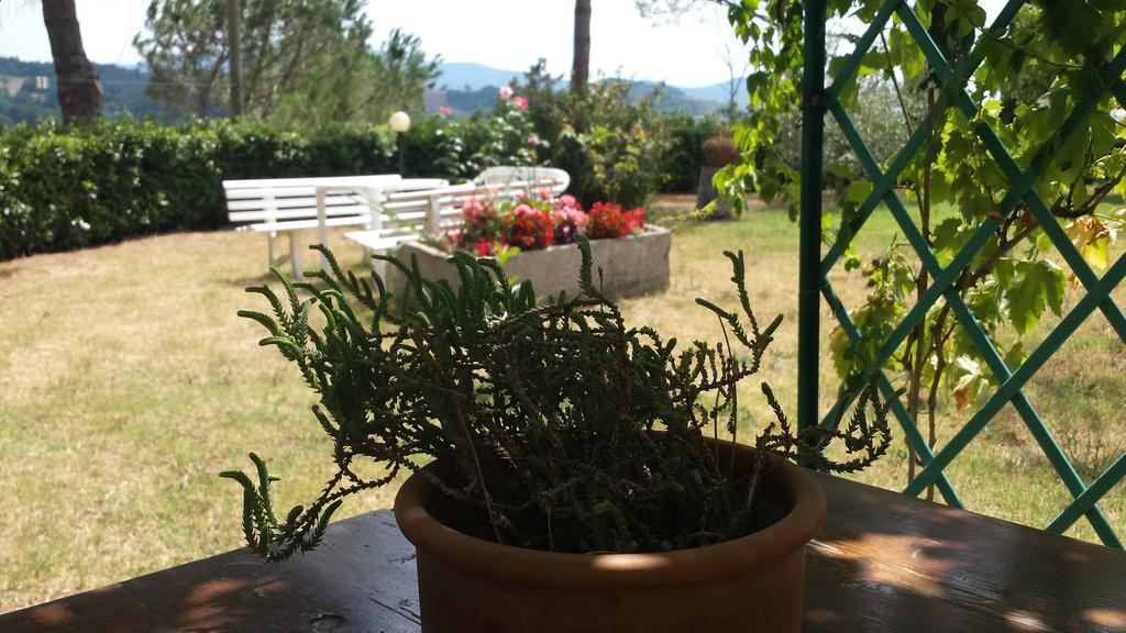 Agriturismo Il Catrino Ponteginori 外观 照片