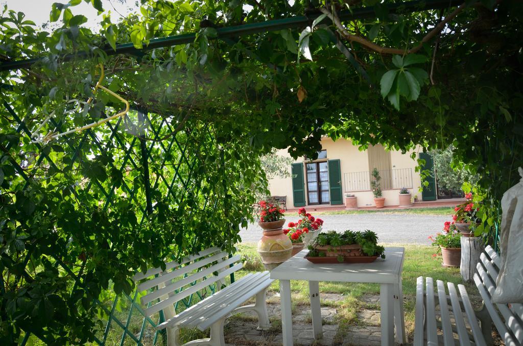 Agriturismo Il Catrino Ponteginori 外观 照片