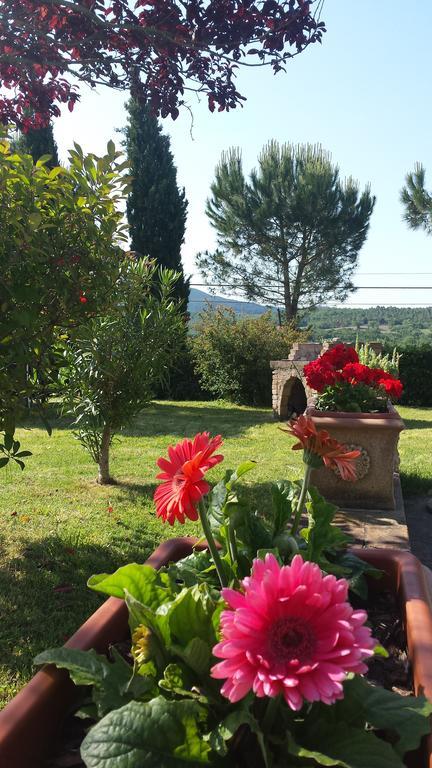 Agriturismo Il Catrino Ponteginori 外观 照片