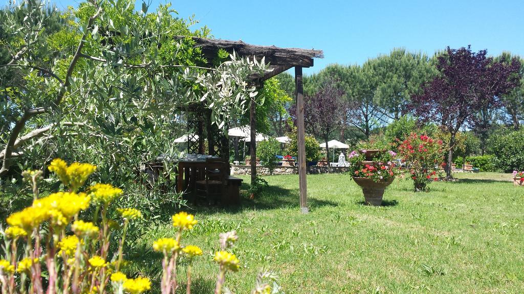 Agriturismo Il Catrino Ponteginori 外观 照片