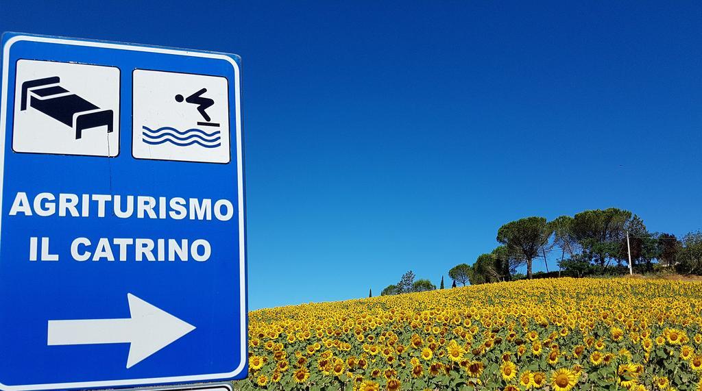 Agriturismo Il Catrino Ponteginori 外观 照片