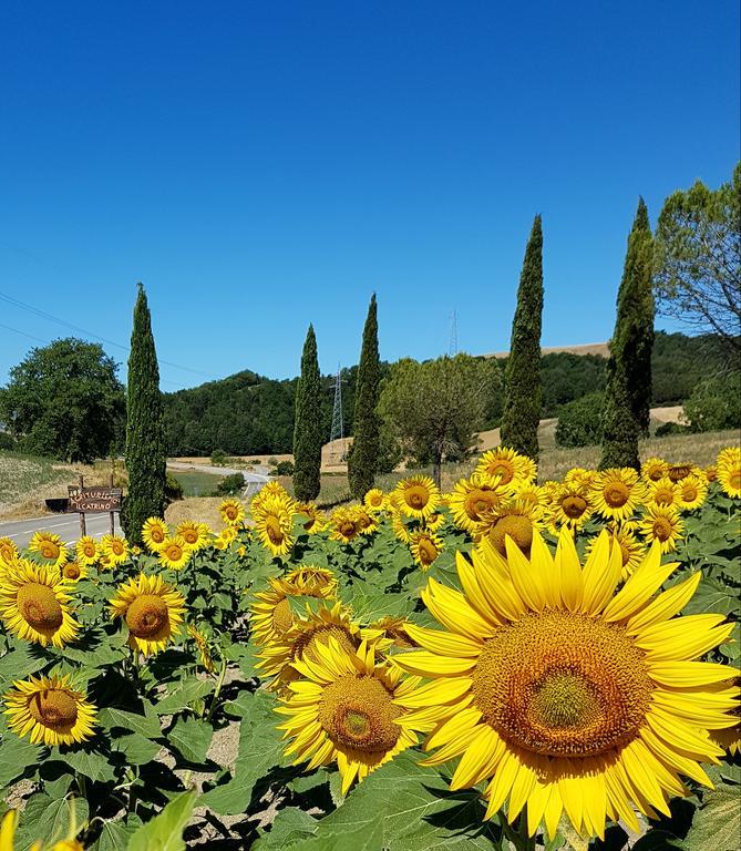Agriturismo Il Catrino Ponteginori 外观 照片