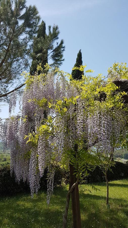 Agriturismo Il Catrino Ponteginori 外观 照片