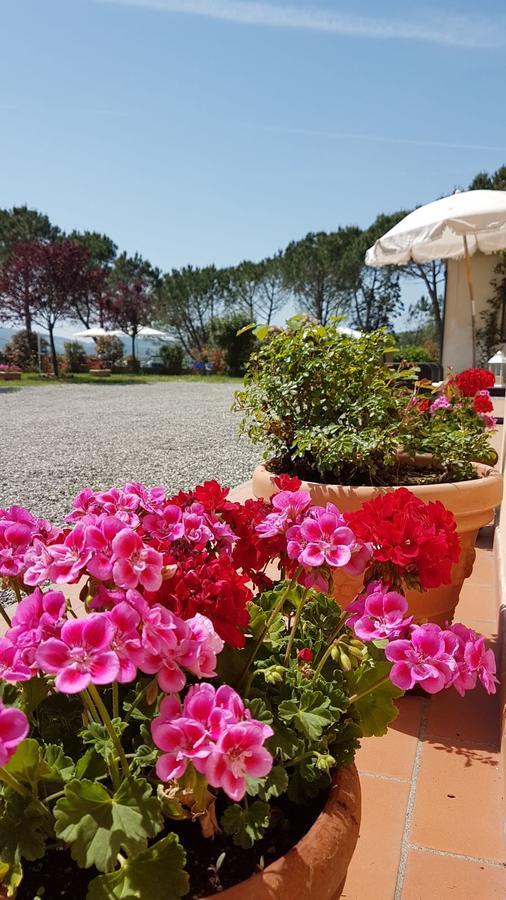 Agriturismo Il Catrino Ponteginori 外观 照片
