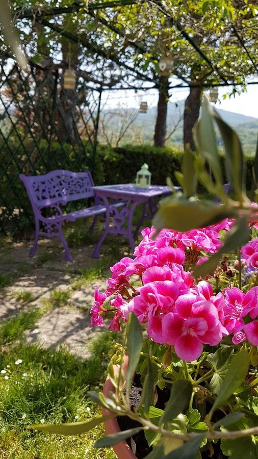 Agriturismo Il Catrino Ponteginori 外观 照片