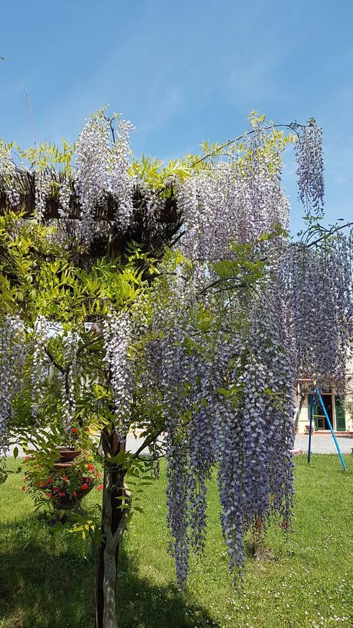Agriturismo Il Catrino Ponteginori 外观 照片