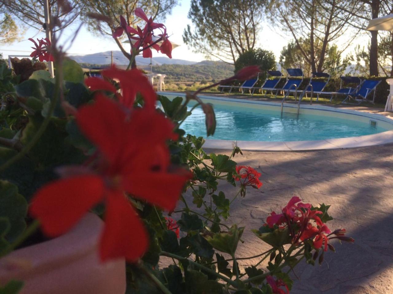 Agriturismo Il Catrino Ponteginori 外观 照片